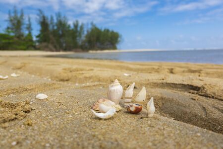 beauty in nature, Kuala Ibai Beach in Terengganu, Malaysia under bright sunny day and cloudy sky