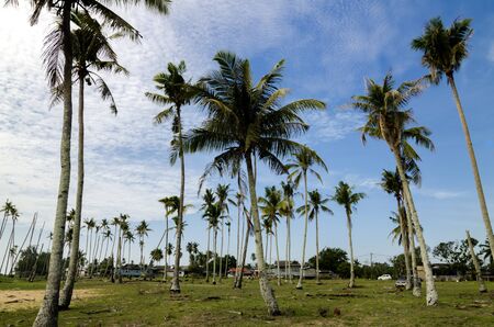Traditional fishing village located in Terengganu, Malaysia under blue sky backgroundの写真素材