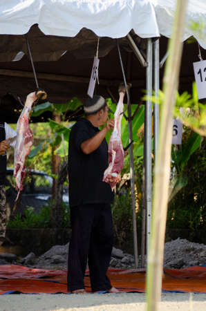 Kuala Terengganu, Malaysia - September 3, 2017: Group of Malaysian Muslims community butchering cow's meat during Eid Al-Adha Mubarak celebration, the Festival of Sacrifice to remember the story of Prophet Abraham and his son, Ismaelのeditorial素材