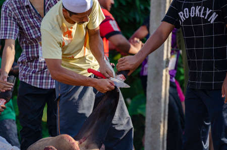 Kuala Terengganu, Malaysia - September 3, 2017: Group of Malaysian Muslims community butchering cow's meat during Eid Al-Adha Mubarak celebration, the Festival of Sacrifice to remember the story of Prophet Abraham and his son, Ismaelのeditorial素材
