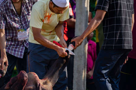 Kuala Terengganu, Malaysia - September 3, 2017: Group of Malaysian Muslims community butchering cow's meat during Eid Al-Adha Mubarak celebration, the Festival of Sacrifice to remember the story of Prophet Abraham and his son, Ismaelのeditorial素材
