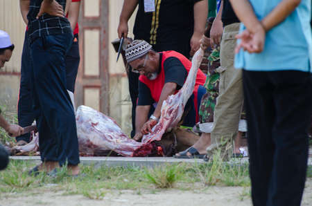 Kuala Terengganu, Malaysia - September 3, 2017: Group of Malaysian Muslims community butchering cow's meat during Eid Al-Adha Mubarak celebration, the Festival of Sacrifice to remember the story of Prophet Abraham and his son, Ismaelのeditorial素材