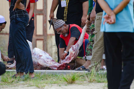 Kuala Terengganu, Malaysia - September 3, 2017: Group of Malaysian Muslims community butchering cow's meat during Eid Al-Adha Mubarak celebration, the Festival of Sacrifice to remember the story of Prophet Abraham and his son, Ismaelのeditorial素材