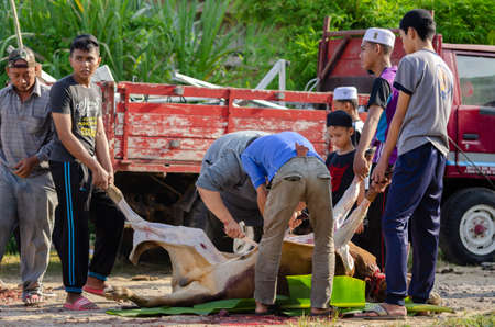 Kuala Terengganu, Malaysia - September 3, 2017: Group of Malaysian Muslims community butchering cow's meat during Eid Al-Adha Mubarak celebration, the Festival of Sacrifice to remember the story of Prophet Abraham and his son, Ismaelのeditorial素材