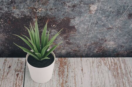 top view,green potted plant on wooden desk, copy space for text on rightの写真素材