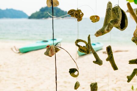Coral hanging a tree on the beach at Nipah Bay Pangkor Island, Malaysiaの写真素材
