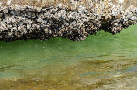 beauty of nature surrounding Pangkor Island located in Perak State, Malaysia under bright sunny day