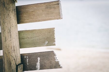 pieces of wood attached to tree stump in Pangkor Island, Perak State, Malaysiaの写真素材