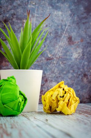 crumpled paper and green potted plant on wooden deskの写真素材