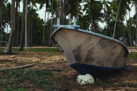 Beautiful view at Traditional fishing village surrounded by coconut tree and fishing boat park on...