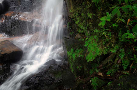 Waterfall stream flowing in the tropical rainforest and moss covering the stone. selective focus shotの写真素材