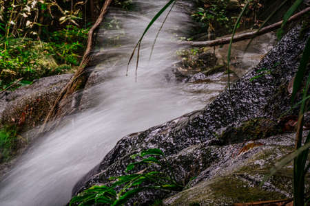 Closeup shot. Waterfall stream down, flowing in the tropical rainforest and wet moss covering the...