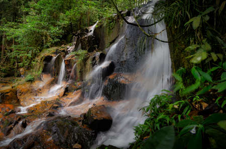 Closeup shot. Waterfall stream down, flowing in the tropical rainforest and wet moss covering the stone. selective focus shotの写真素材
