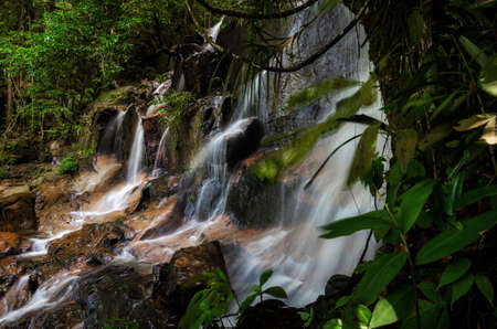 Waterfall stream flowing in the tropical rainforest and moss covering the stone. selective focus shotの写真素材