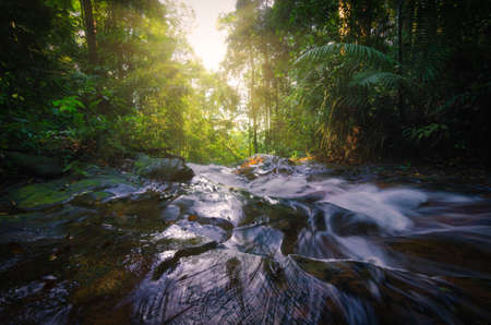 Waterfall stream flowing in the tropical rainforest and moss covering the stone. selective focus shotの写真素材