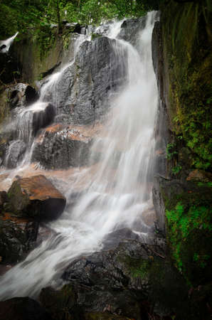 Waterfall stream flowing in the tropical rainforest and moss covering the stone. selective focus shotの写真素材