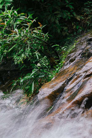Closeup shot. Waterfall stream down, flowing in the tropical rainforest and wet moss covering the stone. selective focus shotの写真素材