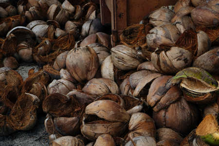 texture background image of coconut coir husk or shell, itis outer layer of a ripe coconutの写真素材