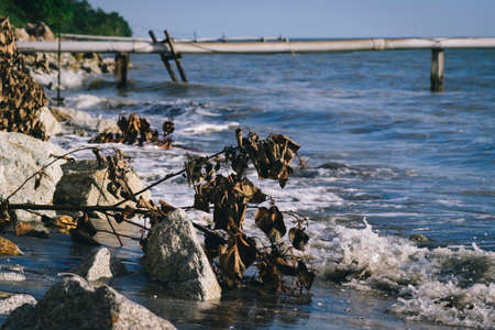 Nature compsition, wave hitting rocky beach under bright sunny day.の写真素材