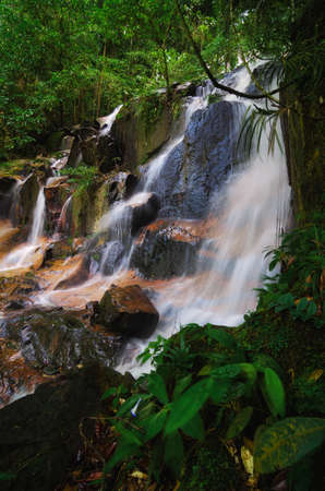 Waterfall stream flowing in the tropical rainforest and moss covering the stone. selective focus shotの写真素材