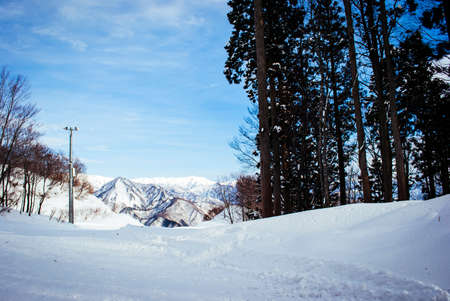 white snow and beautiful landscape during winter season in Japan against blue sky backgroundの写真素材