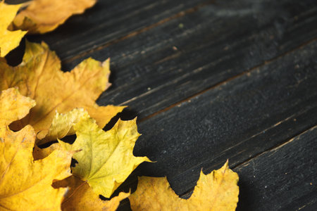 autumn leaf on wood black backgroundの写真素材