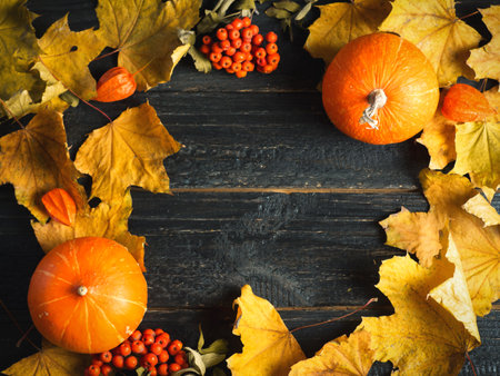 Autumn background in the form of a frame of colorful maple leaves. Orange pumpkins, Rowan and leaves on dark wooden background with copy spaceの写真素材