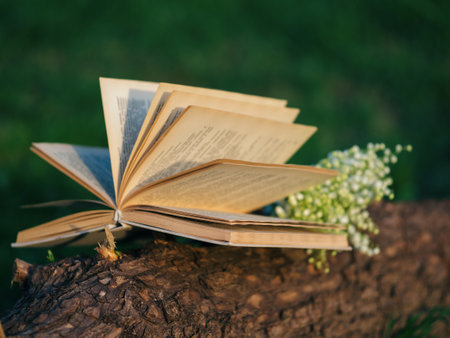 A book and a bouquet of flowers lying on a fallen tree. The concept of Hobbies and leisure in nature. Read a book in the Park on a summer eveningの写真素材