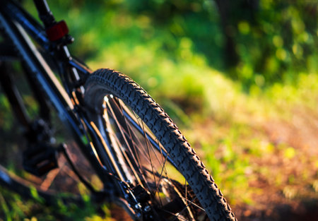 Mountain bike wheel close-up in summer at sunset. The concept of active lifestyle and adventures