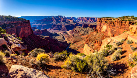Grand Canyon panorama under a clear blue sky, showing the immense scale and rugged rock layersの素材