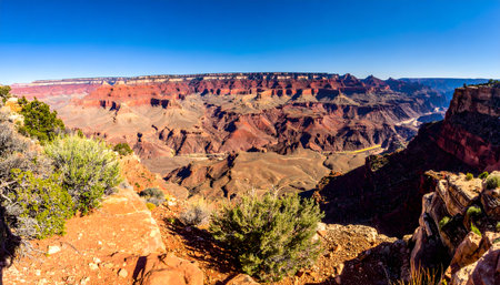 Panoramic view of a vast desert canyon with towering red sandstone cliffs and layered geological formationsの素材