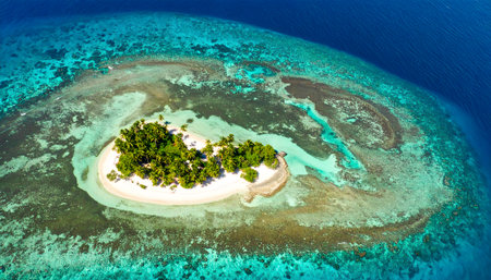 A pristine, isolated paradise island from above, revealing the stunning color contrast between the deep ocean and the shallow lagoon.の素材