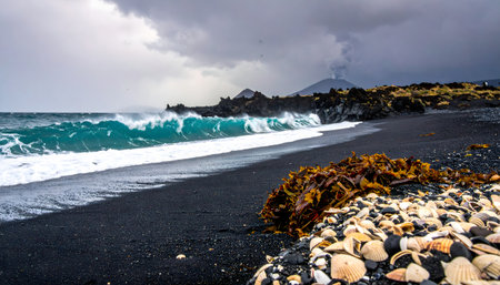 Black volcanic sand beach with seaweed, sea shells and stormy skyの素材