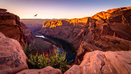 Dramatic sunset view of a sheer-walled canyon, with erosion patterns carved by nature and timeの素材
