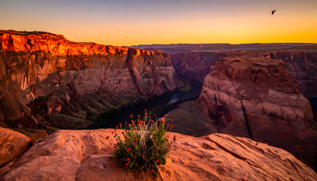 Sunlight and shadow play on ancient sandstone walls in a deep, sweeping slot canyon landscapeの素材