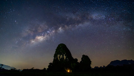 a field of stars and the Milky Way core above a dramatic, jagged, dark mountainous terrainの素材