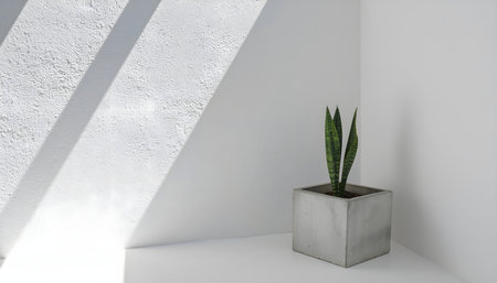 Architectural photography highlighting form, light, and shadow with a potted houseplant in a square concrete container in a bright white space.の素材