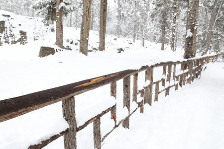 fence in snowの写真素材