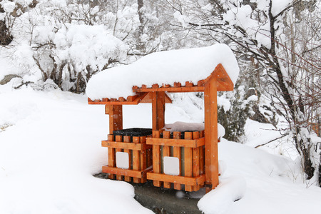 wooden trash canの写真素材