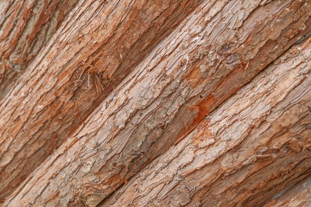 wooden background