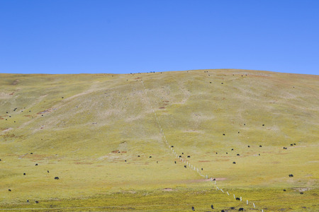 prairie with blue skyの写真素材