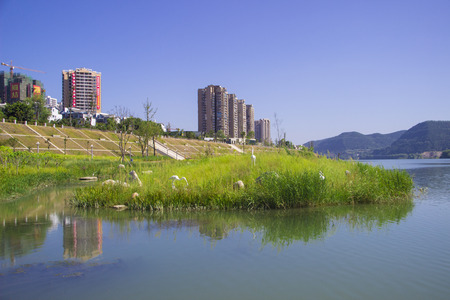 Cityのeditorial素材