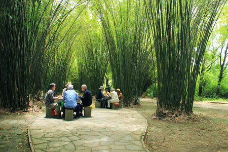 The Old man are playing cardsのeditorial素材