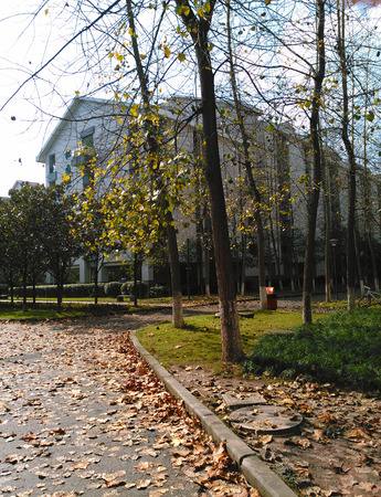 Fall campusのeditorial素材