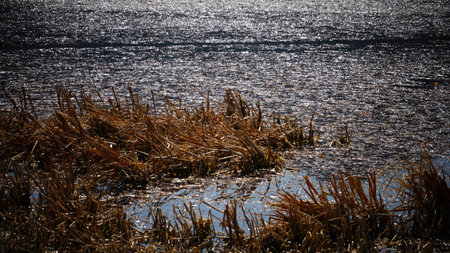 Caohai by the Lugu lake