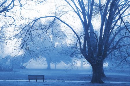 Photo from the last winter in Melbourne, Australiaの写真素材