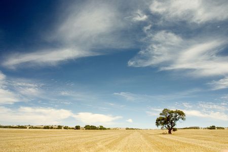 Shot at Wagga2, Australiaの写真素材