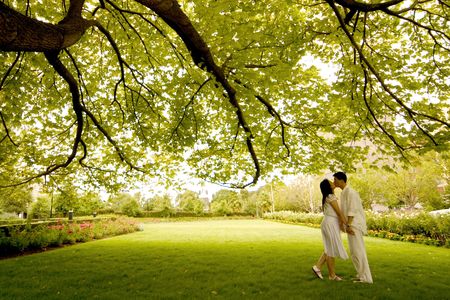 Couple kissing under the tree