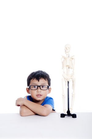 Smart Asian boy with glasses and human skeleton model isolated on whiteの写真素材