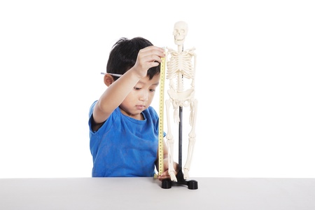 Cute Asian boy learns about human anatomy isolated on whiteの写真素材